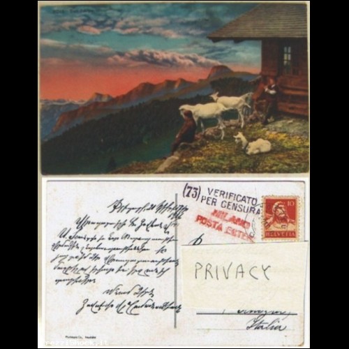 Cartolina Phototypie Co. - 8015 Sur L'Alpe - Switzerland