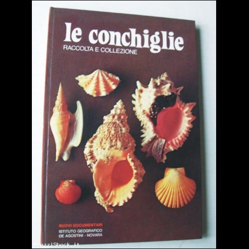 LE CONCHIGLIE - Raccolta e Collezione - De Agostini - 1977