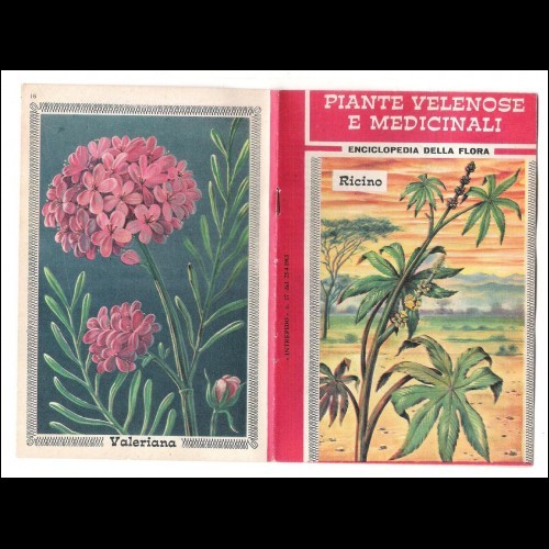 Supplemento INTREPIDO n.17  1963- piante velenose medicinali