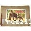 Album Figurine TARZAN 1950 KOMPLETT sticker Disney Grimm Mr