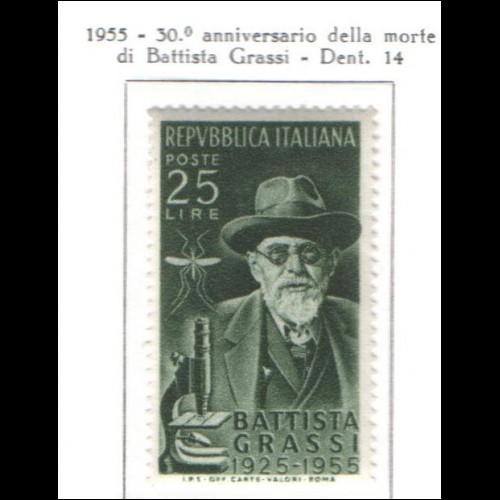 1955 - ITALIA - GRASSI - SERIE COMPLETA ** MNH