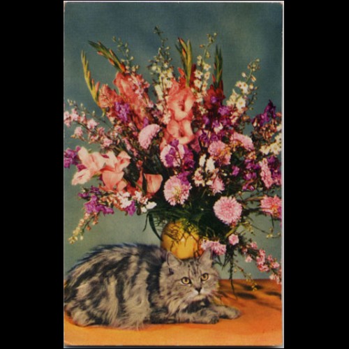 Jeps - cartolina tematica ANIMALI - Gattino e fiori