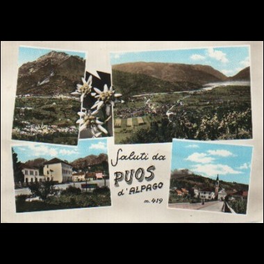 Cartolina - PUOS D'ALPAGO - Saluti - 1971