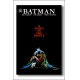 BATMAN UNA MORTE IN FAMIGLIA DEATH FAMILY STARLIN novel