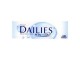 Focus Dailies Conf. da 30 lenti a contatto giornaliere