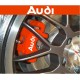 ADESIVI Audi x pinze freno tuning A3 A4 A5 TT A6 R8 Q7 Q5