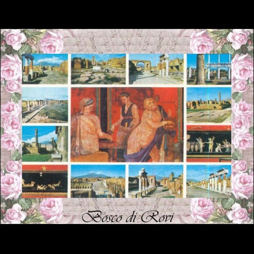 CARTOLINA VIAGGIATA -Postcard Campania -Italy    (0015)