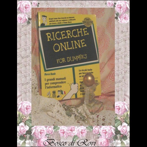 RICERCHE ON LINE -Manuale (0027)