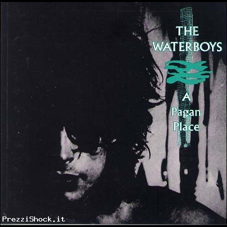 THE WATERBOYS - A PAGAN PLACE - CD ORIGINALE