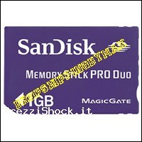 Sandisk 2Gb Memory Stick Pro Duo 2 Gb