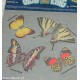 adesivi sticker scrapbooking farfalle fosforescenti 3D