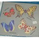 adesivi stickers scrapbooking farfalle fosforescente 3D