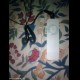 i pod apple