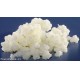 FERMENTI LATTICI VIVI per YOGURT DI  KEFIR PROBIOTICO 7GR pb
