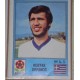 ALBUM FIGURINE STICKER PANINI EURO 80 - GRECIA ORFANOS