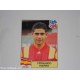 ALBUM FIGURINE PANINI USA 94 - HIERRO SPAGNA