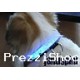  COLLARE A LED! PER IL VOSTRO CANE!! NUOVO!! OCCASIONE!! NOV