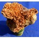Minerale siderite