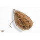 Culatello DOP