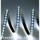 BOBINA STRIP LED 5MT LUCE BIANCA FREDDA 3528 OFFERTISSIMA