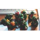 9 elementi collezione Tartallegre (1992)
