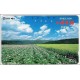 JAPAN - Phonecard - 105 U 431 - 058 USATA