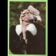 CONDOR - non VG