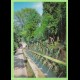 TIVOLI - villa d' Este viale delle cento fontane -FG  non VG