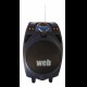 Cassa amplificata 200watt con mic wireless