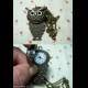 Collana CON OROLOGIO A CIPOLLA  GUFO +  2 BATT.