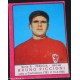 ALBUM FIGURINE STICKER PANINI 1967/68 PICCIONI PERUGIA 