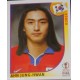 ALBUM FIGURINE STICKER PANINI KOREA/JAPAN KOREA HUNG-HWAN