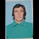 ALBUM FIGURINE STICKER EDIS MILAN NUM.200 RIGAMONTI REC.