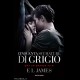 Libro Cinquanta 50 Sfumature di Grigio - E. L. James 
