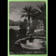 RAPALLO - Genova - effetti di luce VG 1952