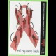 promocard 5955 - comune di Milano lotta AIDS