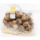 Lumache helix aspersa muller, biologiche, 5 kg