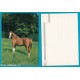 Cavallo - non VG