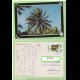  Kenia - palm - VG