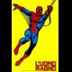 SPIDERMAN 1981 - serie completa di 26 episodi in MKV su dvd