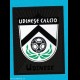 panini 2002 2003 - 426 Udinese scudetto