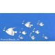 stickers adesivi pesci a specchio 8pz in plastica dura 