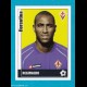 panini 2006 2007 - 153 Fiorentina REGINALDO