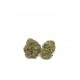 Infiorescienza Melon (CBD Outdoor) 2 gr. Lavander Bubblegum