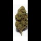 Infiorescienza Cheese (CBD Indoor) 25 gr. Sewntore Formaggio