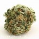 Infiorescienza AK 47 (CBD Greendoor) 25 gr. Aroma Skunk 