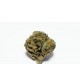 Infiorescienza Gorilla (CBD Indoor)10 gr Limone Legno Spezie