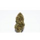 Infiorescienza Mandarin CBD Greenhouse100 gr Aroma Agrumato 
