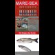 10 Fiale MARE universale Saltw. ml5 Feromoni PESCA ULTRABITE