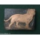 ANTICO CLICHE' TIPOGRAFICO 1896 - TIGRE